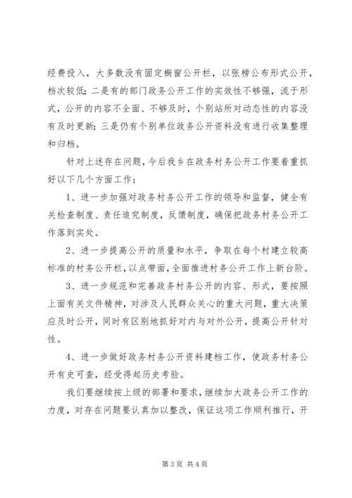 乡镇政务公开自查报告.docx