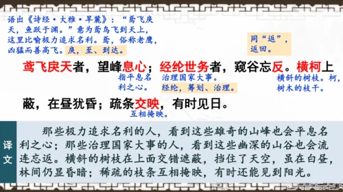 第12课《与朱元思书》课件