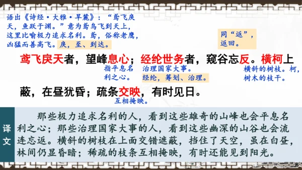 第12课《与朱元思书》课件