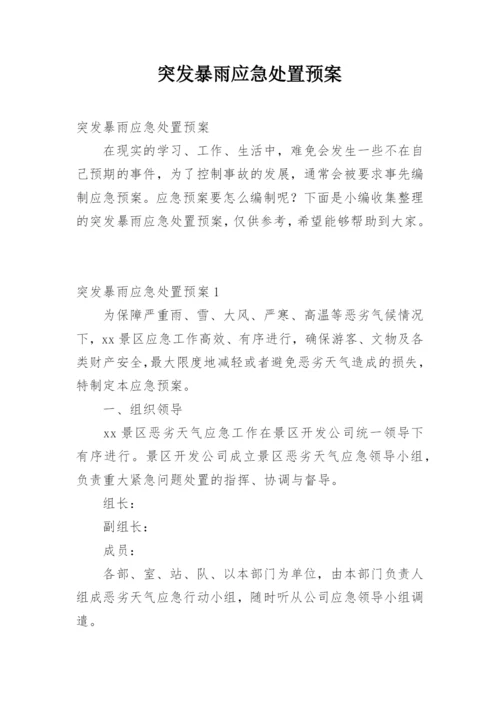 突发暴雨应急处置预案.docx