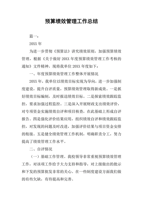 预算绩效管理工作总结