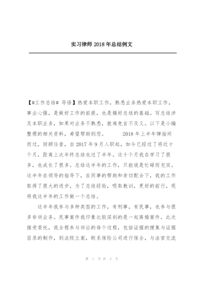 实习律师2018年总结例文.docx