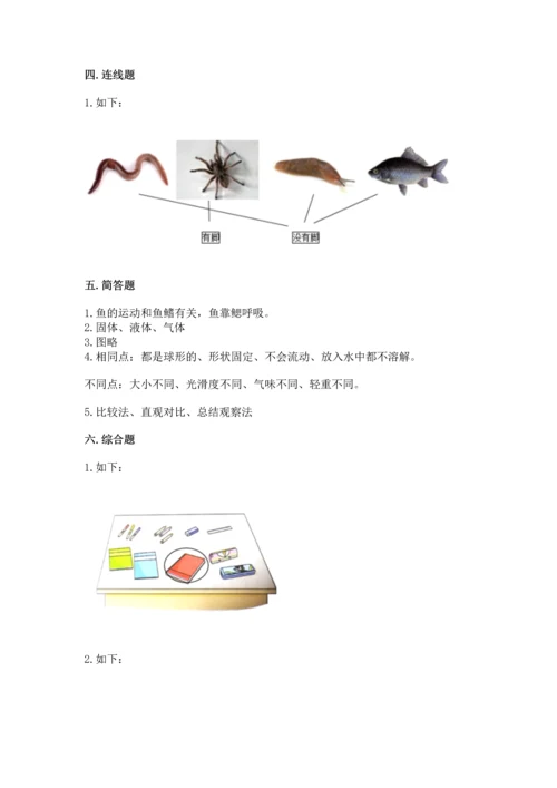 教科版一年级下册科学期末测试卷精品（基础题）.docx