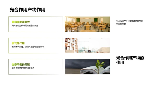 揭秘植物生命