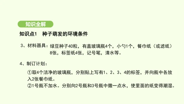 第三单元-第一章-第一节-种子的萌发课件-2024-2025学年七年级生物下学期人教版(2024)(