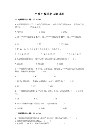 小升初数学期末测试卷（夺冠系列）.docx