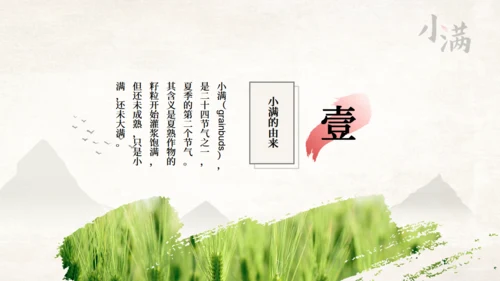 传统节气小满一抹绿色通用PPT模板