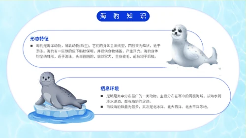 国际海豹日海狮海象通用PPT模板