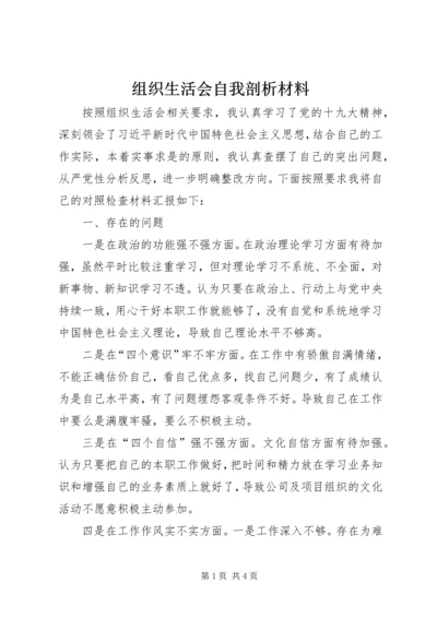 组织生活会自我剖析材料 (2).docx