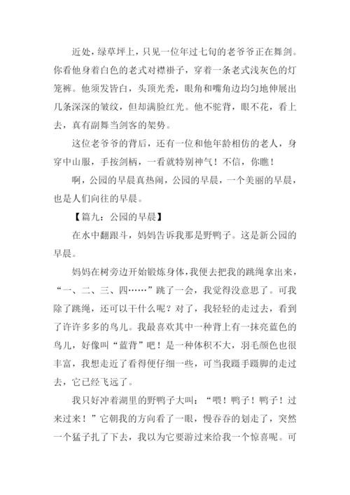 公园的早晨作文300字.docx