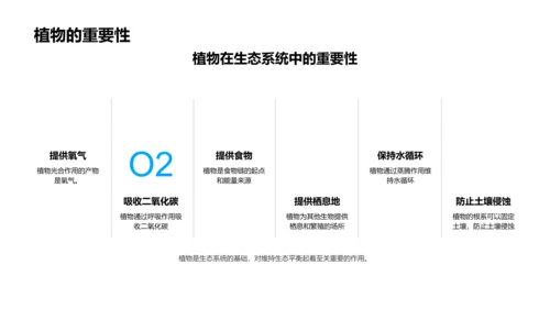 植物生存解码PPT模板