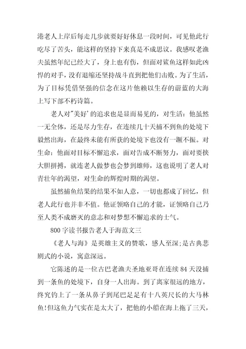 读书报告800字