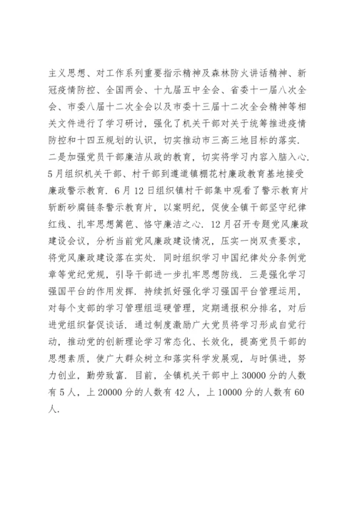 乡镇意识形态工作责任制落实情况.docx