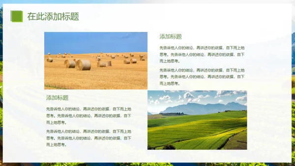 乡村振兴精准扶贫，特色农业项目计划书通用PPT模板