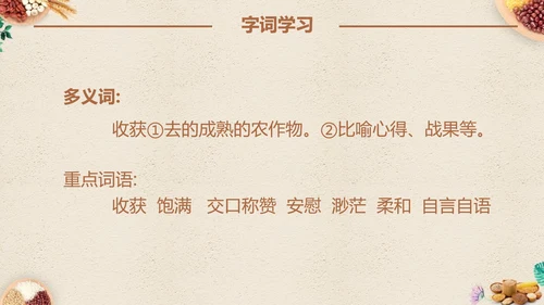 最棒的玉米小学四年级语文课文PPT课件