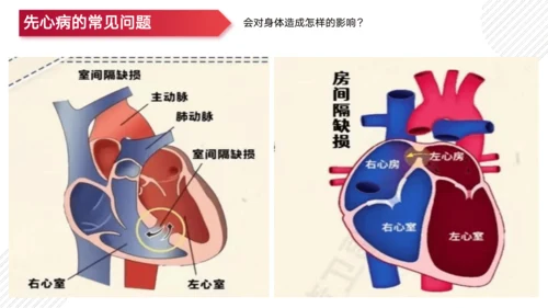 七年级下册4.4人体内物质的运输（复习课件）(共27张PPT)