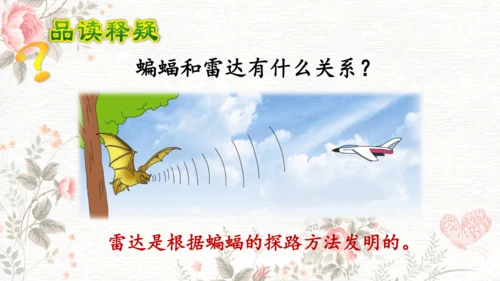 6夜间飞行的秘密  课件