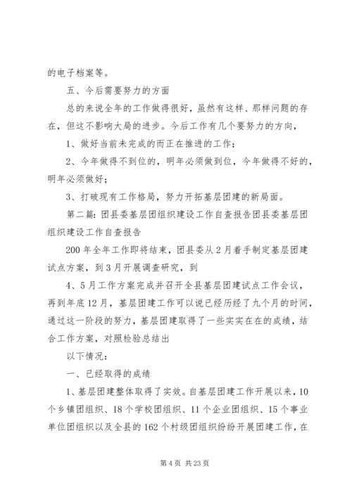 团县委基层团组织建设工作自查报告.docx