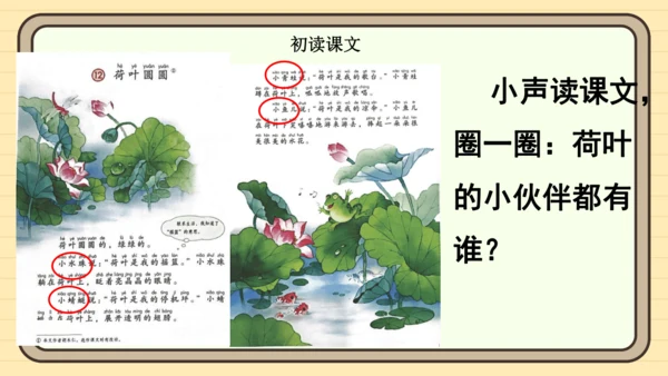 12 荷叶圆圆（课件）