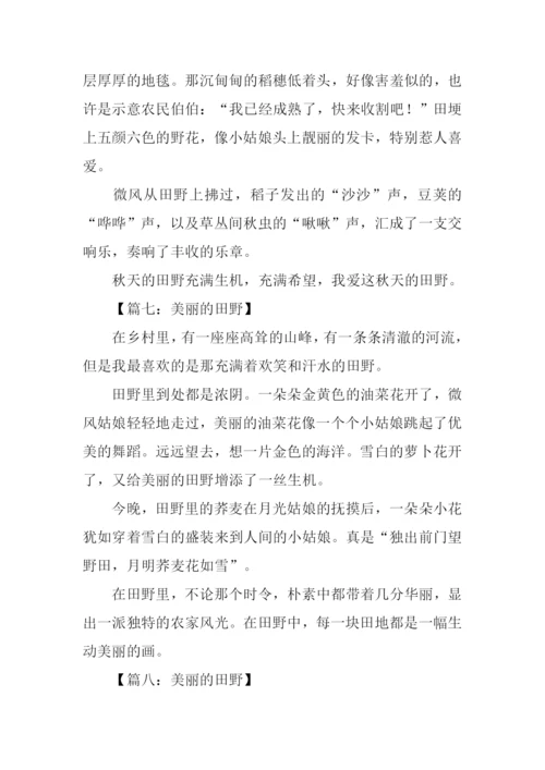 美丽的田野作文200字.docx