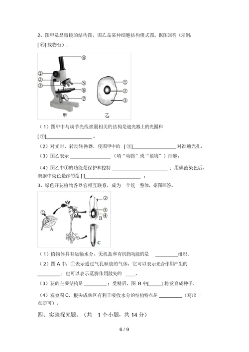 2021年九年级生物上册期末考试(及参考答案)(20220208135927)