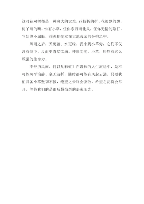 小草的启示初中作文.docx