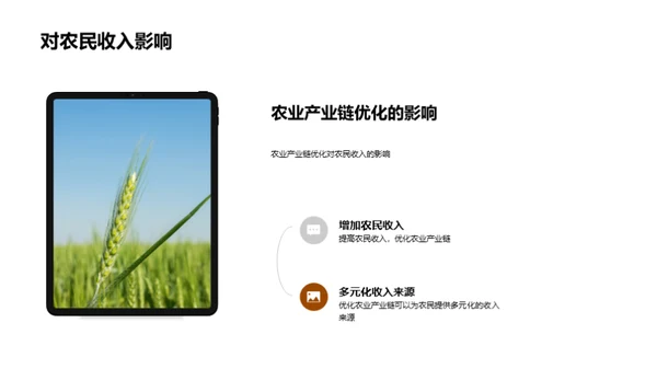农业链条优化策略