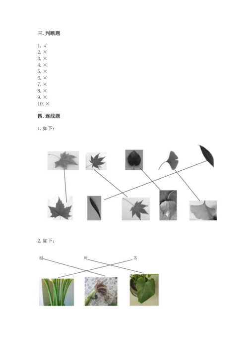 教科版一年级上册科学期末测试卷带答案（培优b卷）.docx