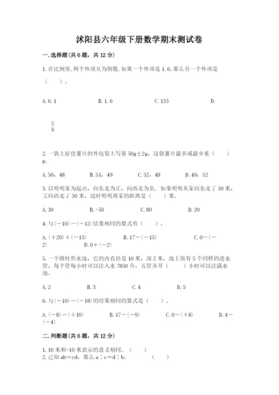 沭阳县六年级下册数学期末测试卷（综合卷）.docx