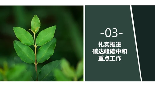 低碳经济碳达峰碳中和新理念PPT党课