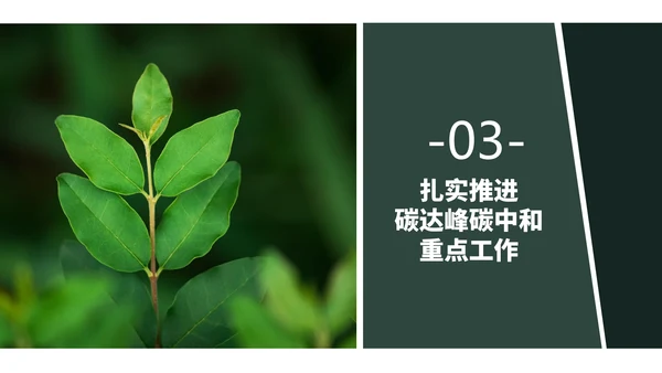 低碳经济碳达峰碳中和新理念PPT党课