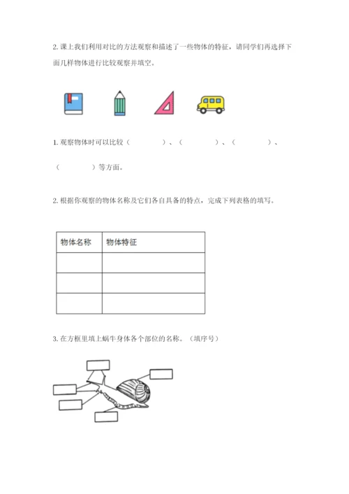 教科版一年级下册科学期末测试卷【基础题】.docx