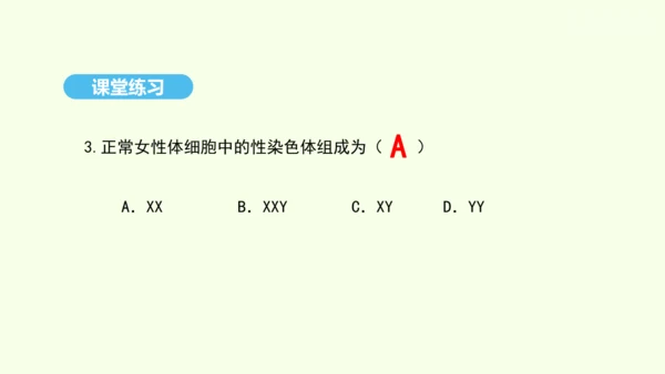 7.2.4人的性别遗传课件-人教版生物八年级下册(共31张PPT)