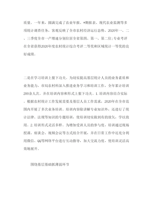 精编年市农村统计工作报告范文.docx