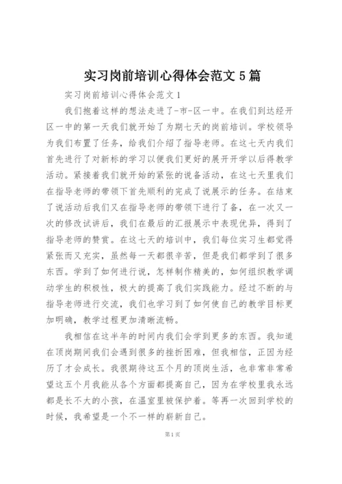 实习岗前培训心得体会范文5篇.docx