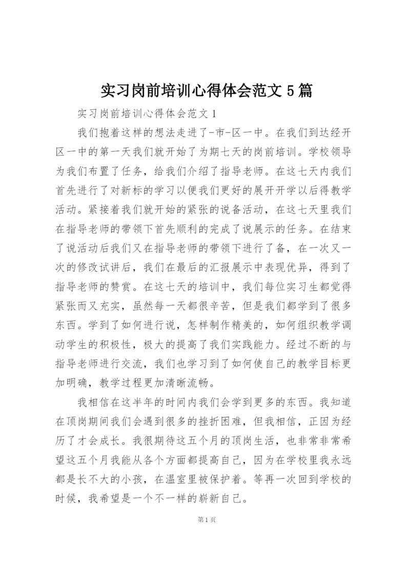 实习岗前培训心得体会范文5篇.docx