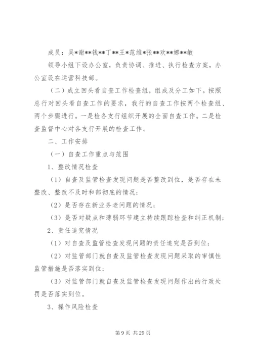 回头看两方案自查3篇.docx