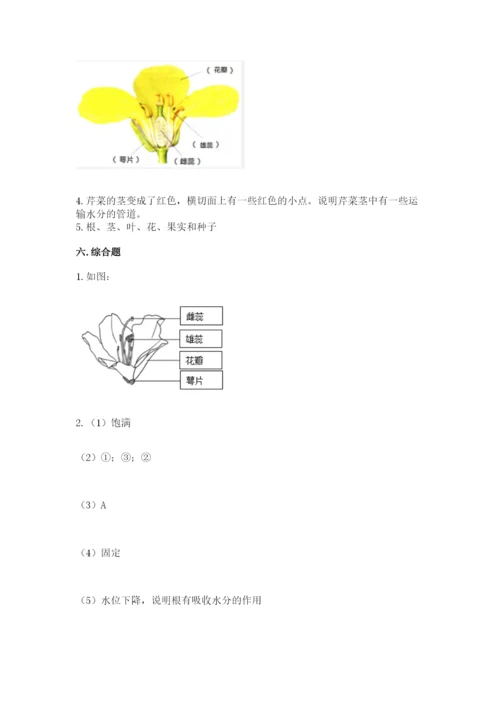 教科版科学四年级下册第一单元《植物的生长变化》测试卷精品（精选题）.docx