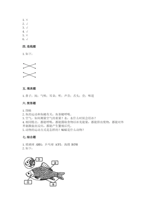 教科版小学科学一年级下册期末测试卷附答案【预热题】.docx