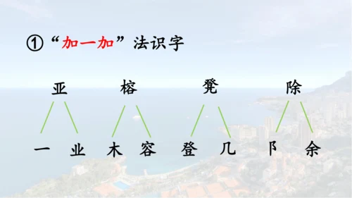 第19课 《海滨小城》  课件