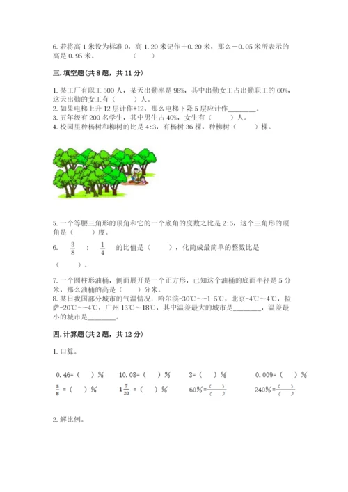 小学六年级下册数学期末测试卷（培优b卷）.docx