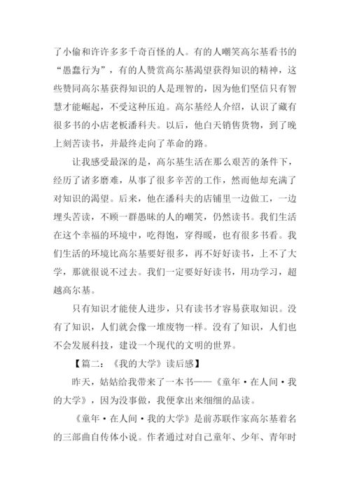 我的大学读后感800字.docx