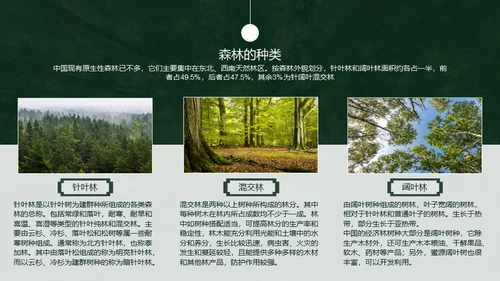 植树节认识森林保护森林主题教育通用PPT模板