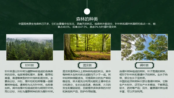 植树节认识森林保护森林主题教育通用PPT模板