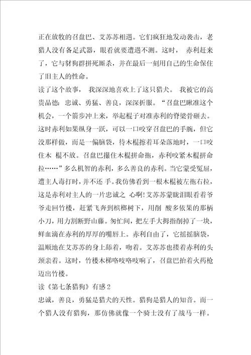 读第七条猎狗有感精选600字范文