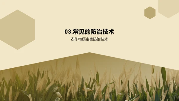 3D风教育培训教学课件PPT模板