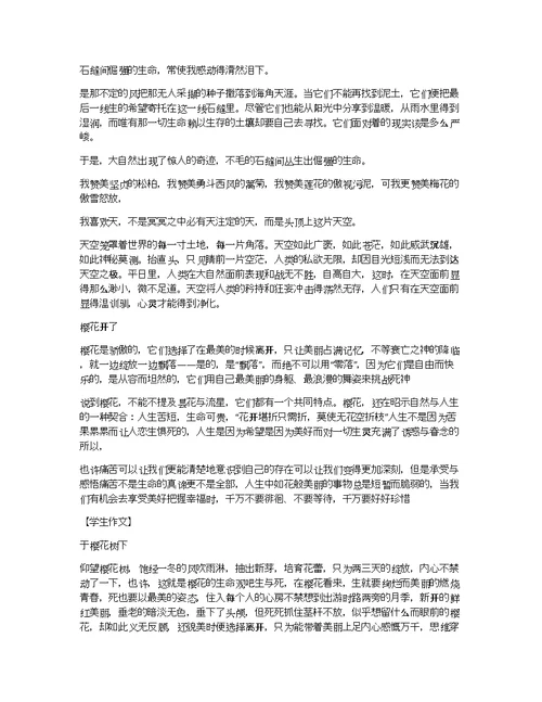 借物抒情的作文1000字借物抒情作文600字