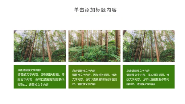 原始森林湿地植树造林森林环保PPT模板