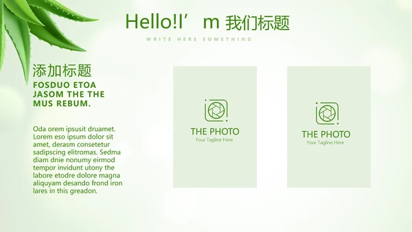 绿色清新芦荟面膜动态PPT
