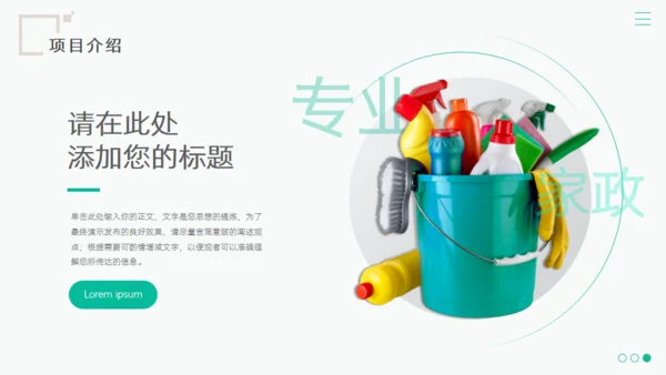 绿色家政服务项目计划书通用PPT